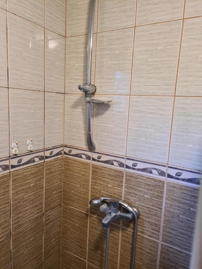 Saray Downtown Apartment Private Parking Free Wifi Sarajevo Exterior photo